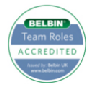 Click here to be taken to the Belbin website